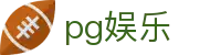 pg娱乐 - 官方授权保障资金安全与数据加密的稳定系统
